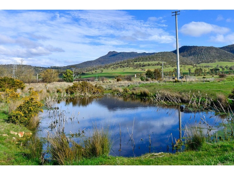 1176 Elderslie Road, Broadmarsh TAS 7030