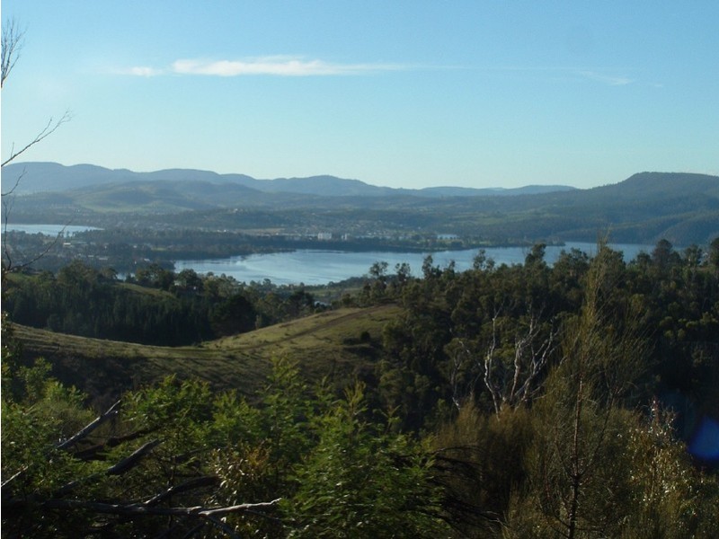 Montrose TAS 7010