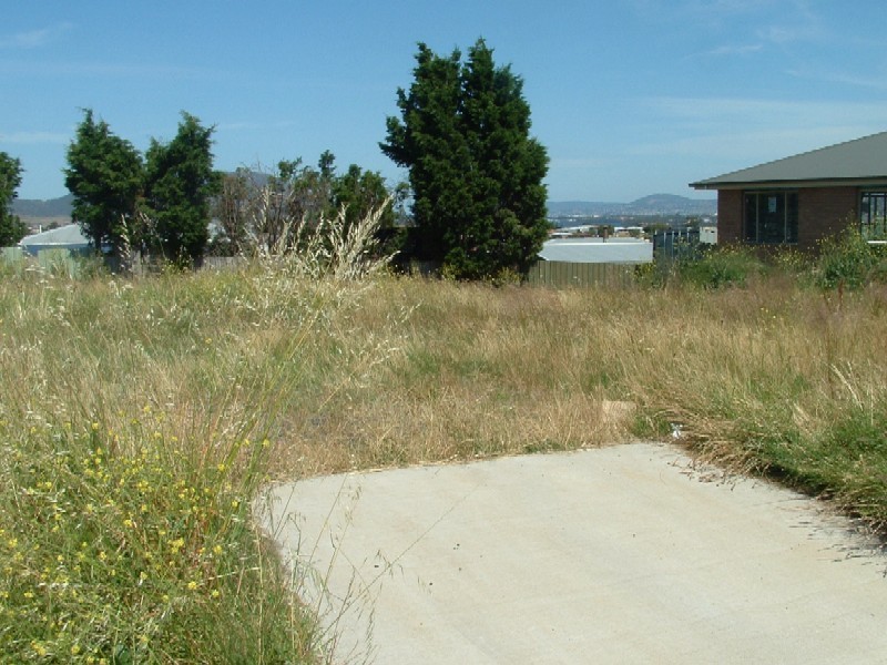 Bridgewater TAS 7030