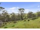722 McGuires Marsh Road, Osterley TAS 7140