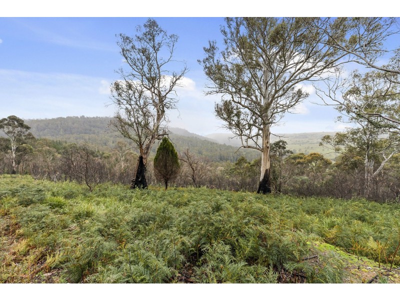 722 McGuires Marsh Road, Osterley TAS 7140