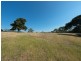 0 Black Snake Road, Granton TAS 7030