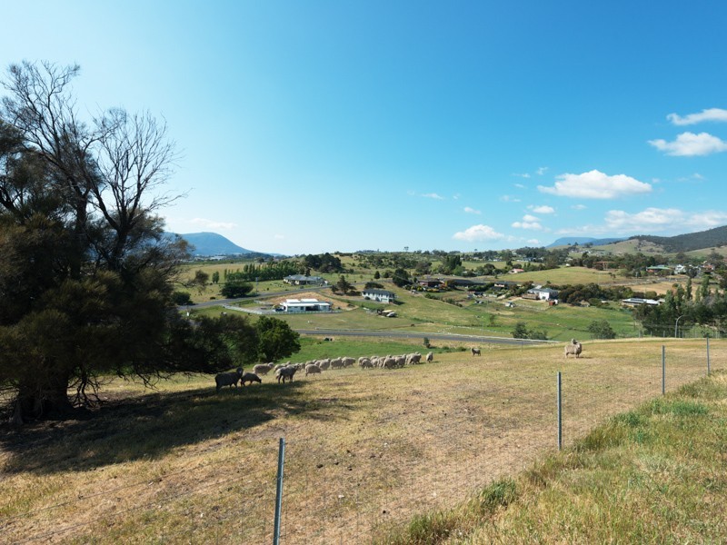 0 Black Snake Road, Granton TAS 7030