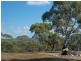 0 Black Snake Road, Granton TAS 7030