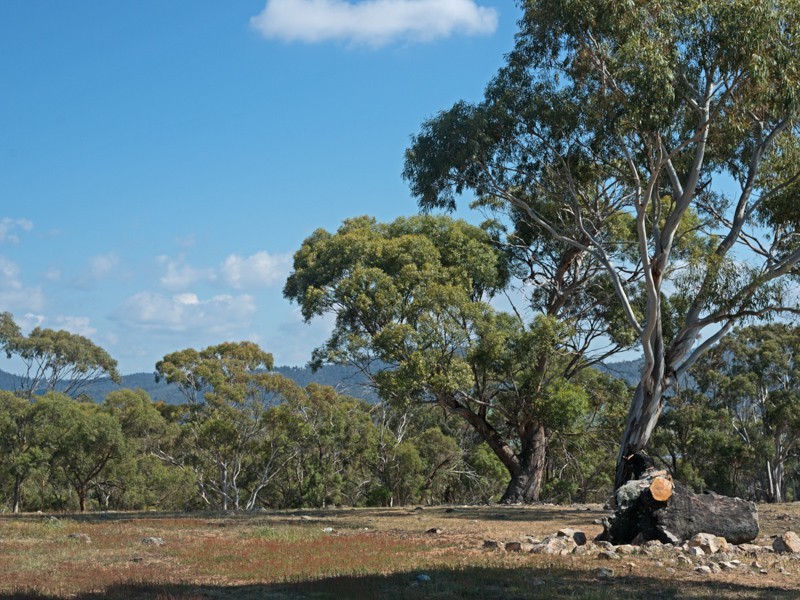 0 Black Snake Road, Granton TAS 7030