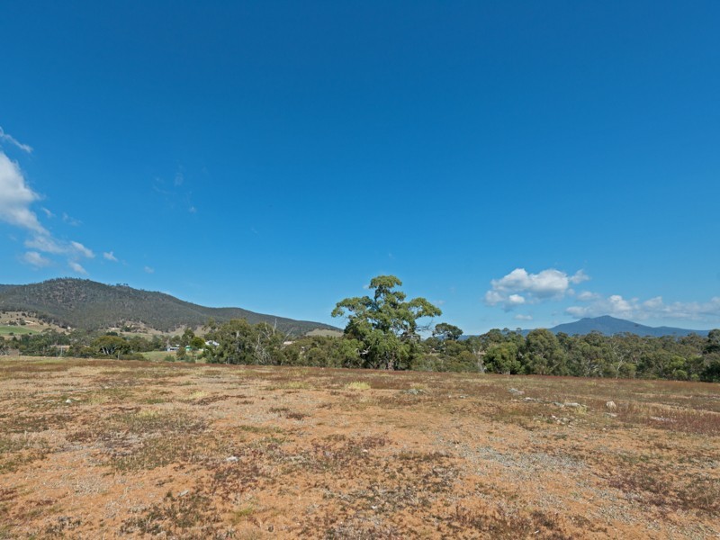0 Black Snake Road, Granton TAS 7030