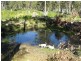 232 Forest Road, Rhyndaston TAS 7120