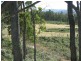 232 Forest Road, Rhyndaston TAS 7120