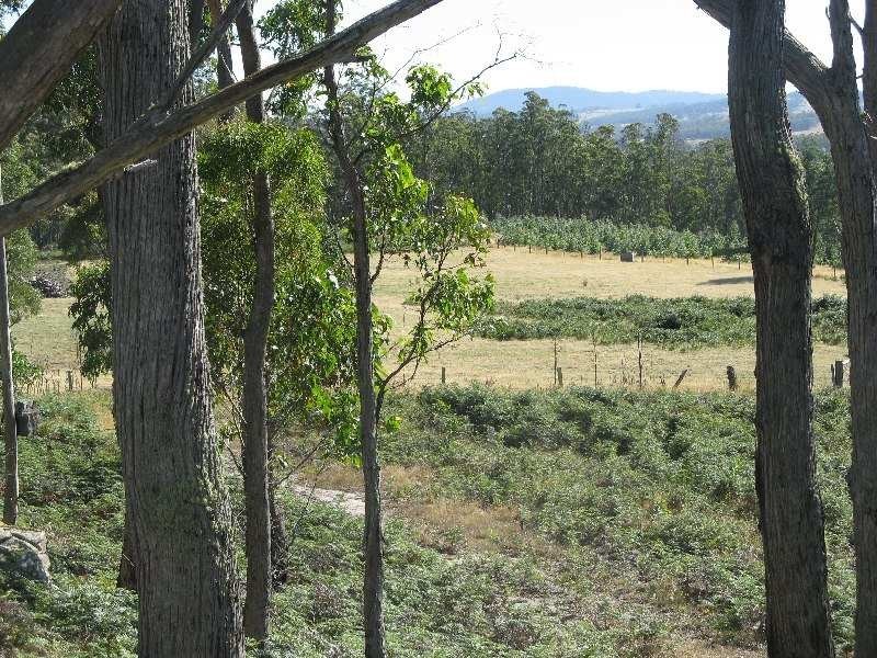 232 Forest Road, Rhyndaston TAS 7120