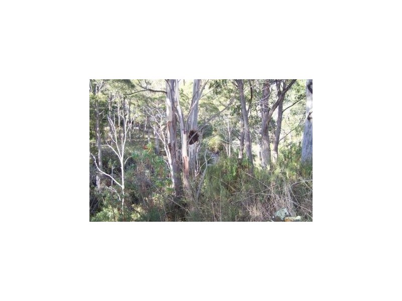 Collinsvale TAS 7012