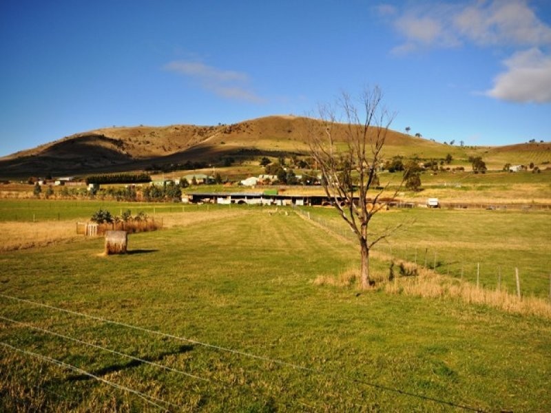 Brighton TAS 7030