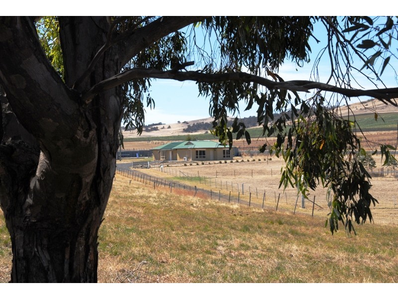 Brighton TAS 7030