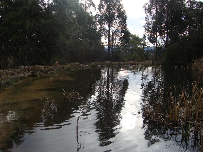 Collinsvale TAS 7012