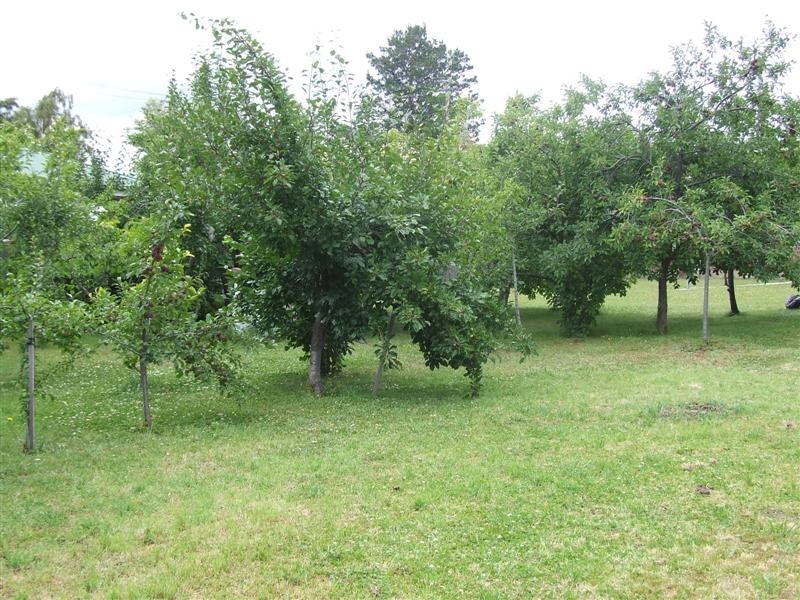 48 Box Hill Road, Claremont TAS 7011