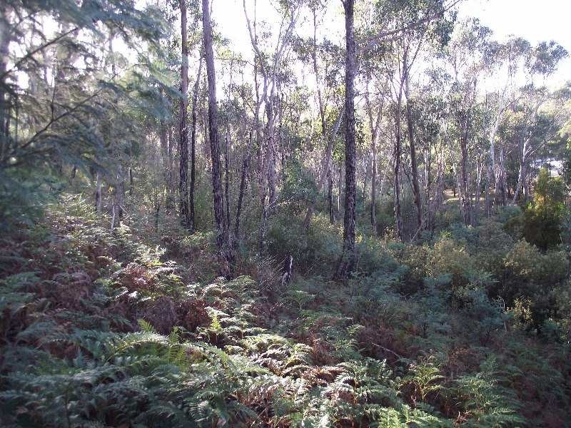 79 Tongatabu Road, Dromedary TAS 7030