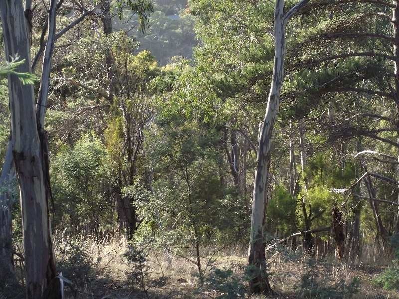 79 Tongatabu Road, Dromedary TAS 7030