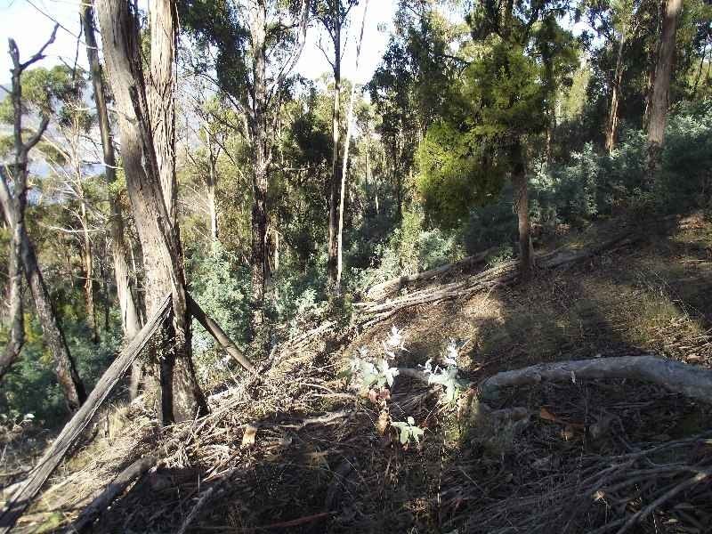 79 Tongatabu Road, Dromedary TAS 7030