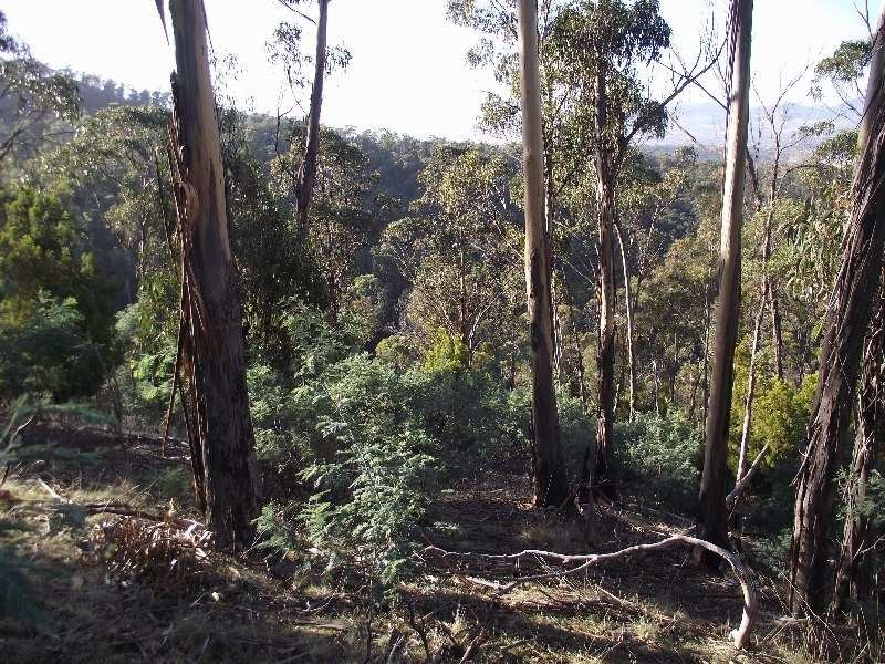 79 Tongatabu Road, Dromedary TAS 7030