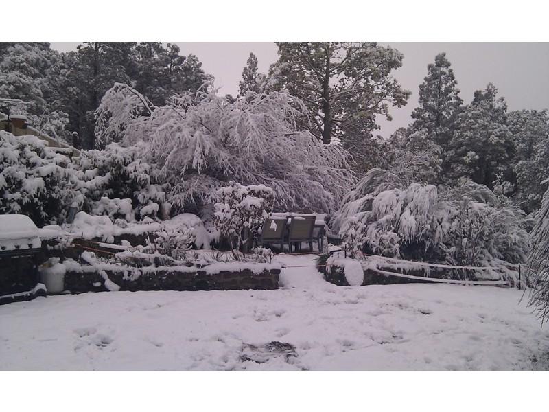 102 Myrtle Forest Rd, Collinsvale TAS 7012