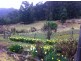 Collinsvale TAS 7012