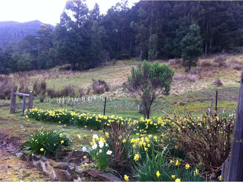 Collinsvale TAS 7012