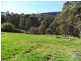 Collinsvale TAS 7012