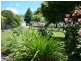 68 Charlotte Street, New Norfolk TAS 7140