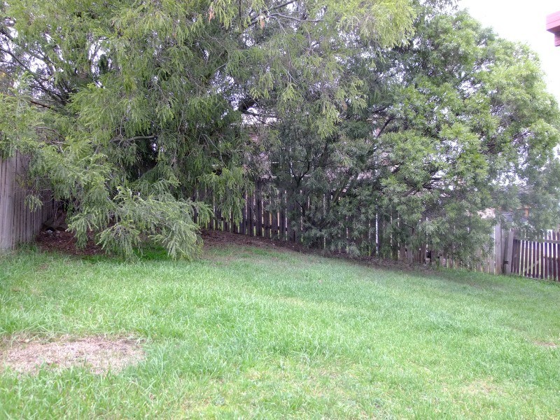 Claremont TAS 7011