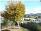13 Ashbourne Grove, West Moonah TAS 7009