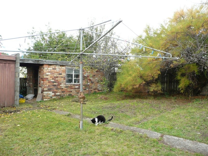 13 Ashbourne Grove, West Moonah TAS 7009