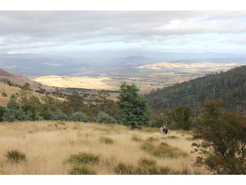 79 Sonners Road, Black Hills TAS 7140