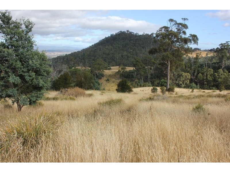 79 Sonners Road, Black Hills TAS 7140