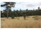 79 Sonners Road, Black Hills TAS 7140