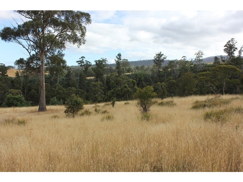 79 Sonners Road, Black Hills TAS 7140