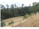 79 Sonners Road, Black Hills TAS 7140