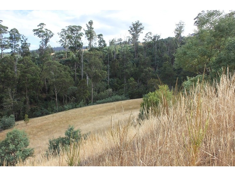 79 Sonners Road, Black Hills TAS 7140
