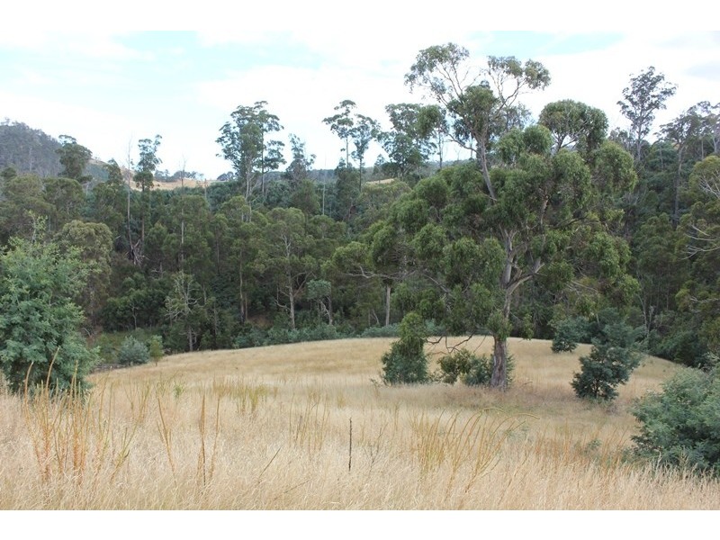 79 Sonners Road, Black Hills TAS 7140