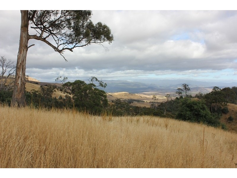 79 Sonners Road, Black Hills TAS 7140