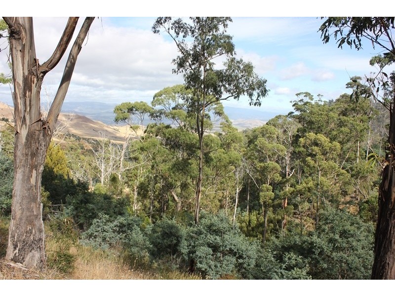 79 Sonners Road, Black Hills TAS 7140
