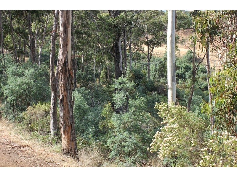 79 Sonners Road, Black Hills TAS 7140