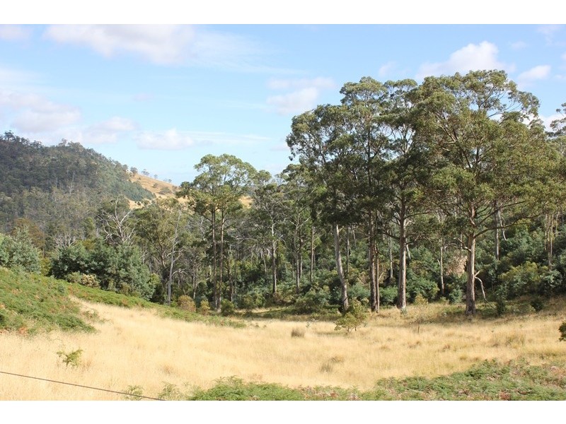 79 Sonners Road, Black Hills TAS 7140
