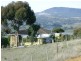 Brighton TAS 7030
