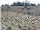 68 Hungry Flats Road, Tunnack TAS 7120