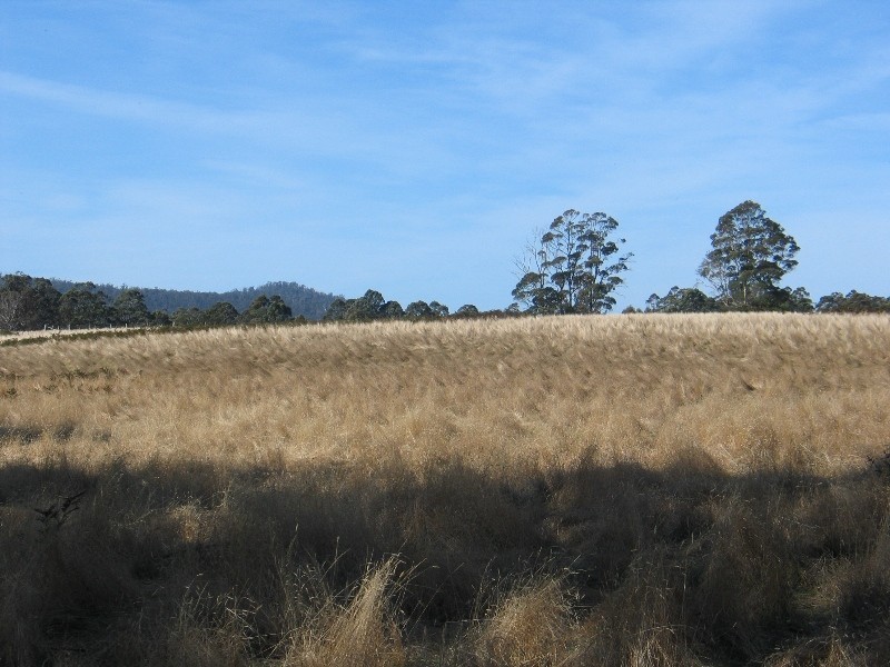 68 Hungry Flats Road, Tunnack TAS 7120