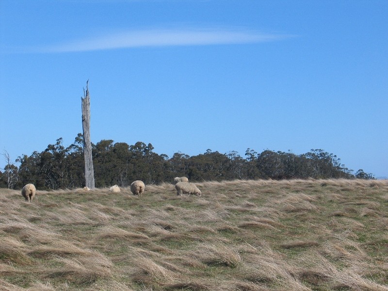 68 Hungry Flats Road, Tunnack TAS 7120
