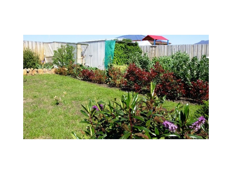 Brighton TAS 7030