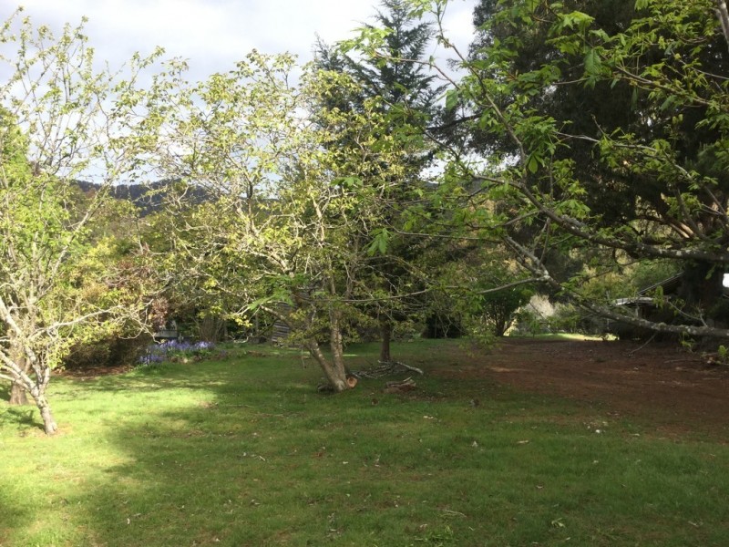 199 Springdale Road, Collinsvale TAS 7012