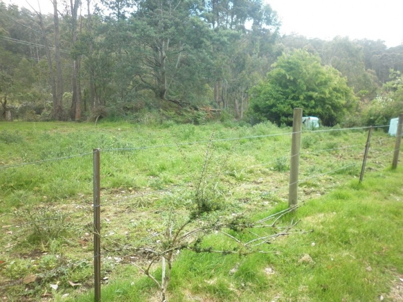 199 Springdale Road, Collinsvale TAS 7012