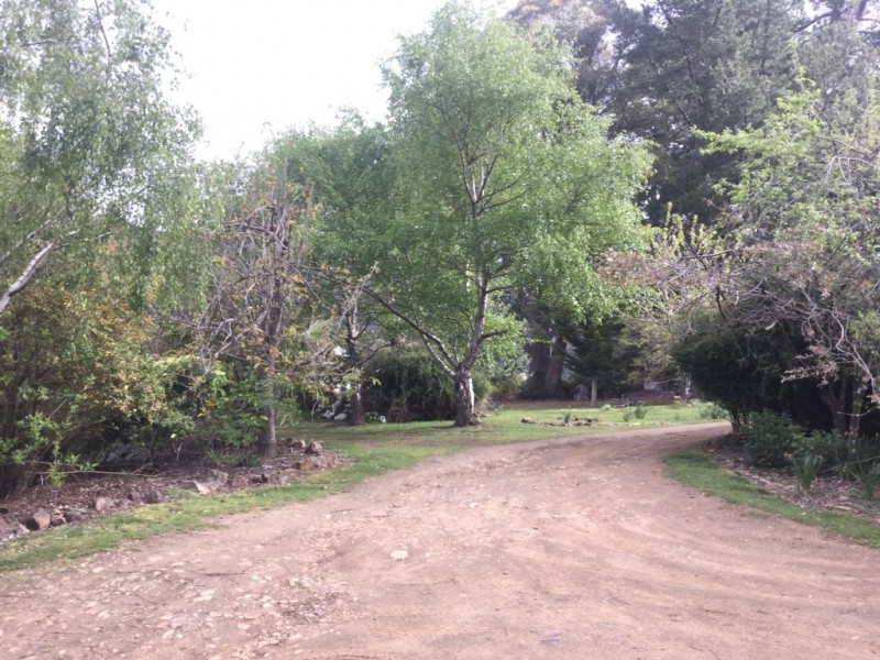 199 Springdale Road, Collinsvale TAS 7012