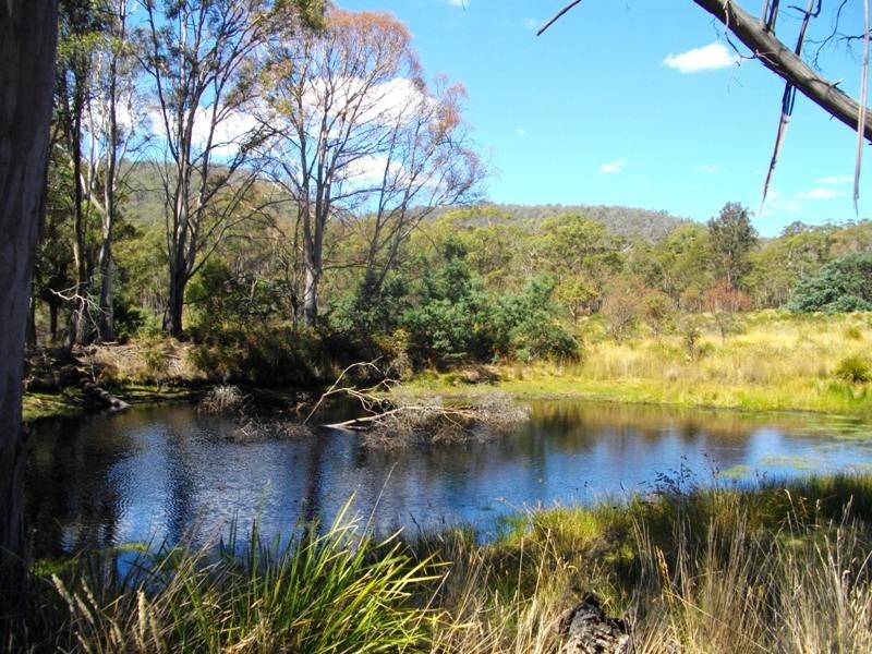 Lot 20 Hungry Flats Rd, Colebrook TAS 7027